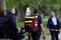 11 người bị sét đánh trong bữa tiệc ở công viên