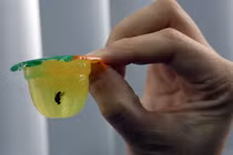 Những món ăn khoái khẩu cực nguy hiểm cho bé