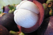 Cách chọn măng cụt ngon, không bị thối hỏng