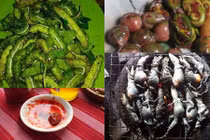 Loạt món ăn kinh dị nhầy nhụa nhìn là phát khiếp