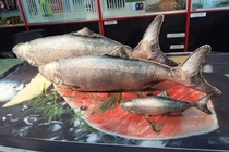 Mê mẩn mẫu chăn gối lạ có một không hai trên thế giới