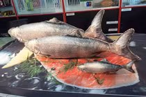 Mê mẩn mẫu chăn gối lạ có một không hai trên thế giới