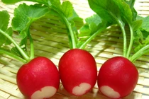 7 bài thuốc hay từ củ cải đỏ bạn cũng bất ngờ