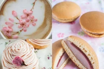 Món ngon tuyệt đẹp từ hoa anh đào Nhật Bản