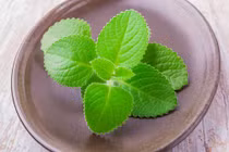 Bài thuốc chữa bệnh như thần dược từ các loại rau húng