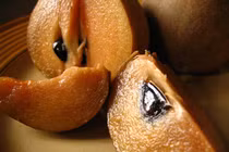 Đặc sản Hà thành: hồng xiêm Xuân Đỉnh