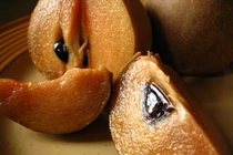 Đặc sản Hà thành: hồng xiêm Xuân Đỉnh