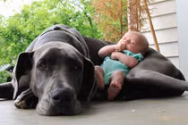 Ngắm ảnh bé và cún cưng đáng yêu không chịu nổi