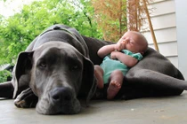 Ngắm ảnh bé và cún cưng đáng yêu không chịu nổi