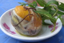 Những món ăn người Việt kiêng kị ngày Tết 