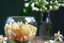 Bài thuốc chữa bệnh từ hoa bưởi tháng 3