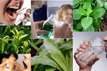 Bài thuốc trị hôi miệng khó ngửi bằng thảo dược dễ tìm