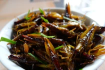 Đặc sản cào cào châu chấu vào mùa