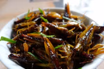 Đặc sản cào cào châu chấu vào mùa