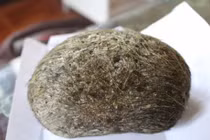 Thực hư tác dụng chữa bệnh của cát lợn giá chục tỷ đồng?