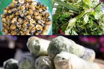 Đặc sản miền Tây gỏi cuốn ốc đắng trộn thịt
