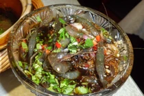 Dựng tóc gáy món ngon từ tôm kỳ dị nhất thế giới