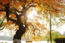 Thời tiết ngày 23/8: Hà Nội nắng nóng kinh hoàng