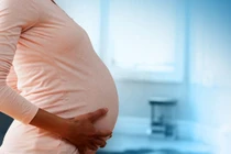 Bà bầu Việt hoảng loạn vì virus Zika ăn não người