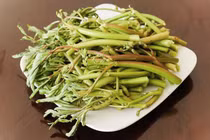 Kinh ngạc bài thuốc chữa bệnh từ rau rút