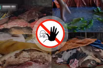 Lộ nguyên nhân thực phẩm bẩn hoành hành ngang ngược ở VN