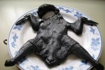 Gà đen: thịt đắt nhất hành tinh ăn cách nào khỏi phí