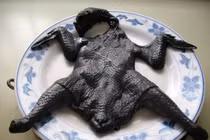 Gà đen: thịt đắt nhất hành tinh ăn cách nào khỏi phí