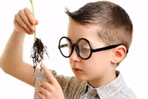 Dấu hiệu chứng tỏ bé thông minh