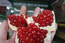 Món ăn nên ăn ngày đầu năm để may mắn cả năm