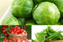 Bí quyết chọn và rửa rau quả không giun sán