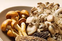 Món ăn tốt cho người bệnh bị gan nhiễm mỡ