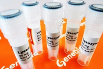 Đình chỉ và thu hồi 38 thuốc chứa Lysozym