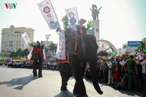 Ảnh voi diễu hành trên đường phố Buôn Ma Thuột 