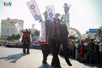 Ảnh voi diễu hành trên đường phố Buôn Ma Thuột 