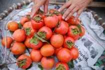 Những loại quả dân dã gợi nhớ tuổi thơ sắp vào mùa