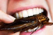 Lưu ý ngừa ngộ độc khi tiệc tùng ngày 8/3 