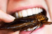 Lưu ý ngừa ngộ độc khi tiệc tùng ngày 8/3 