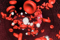 Thói quen hầu như ai cũng mắc gây chảy máu dạ dày