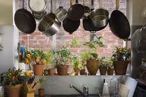 Giật mình những dụng cụ nhà bếp chứa độc tố chết người