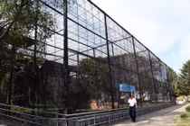 Ảnh chưa từng thấy bên trong vườn thú bí ẩn của Triều Tiên