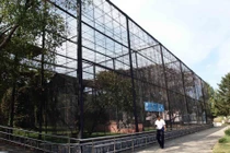 Ảnh chưa từng thấy bên trong vườn thú bí ẩn của Triều Tiên