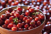 Cách thanh lọc thận bằng bài thuốc từ quả tươi