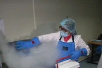 Ông Nguyễn Bá Thanh ghép tủy, quy trình thế nào?