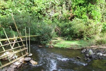 Hiện trường thảm sát 4 người trong một gia đình