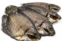 Đặc sản cá sặc rằn duy nhất có ở U Minh Thượng