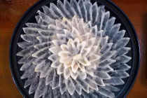 Bài thuốc chữa ngộ độc do ăn cá nóc 