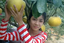 Nữ sinh lớp 6 mất tích bí ẩn