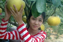 Nữ sinh lớp 6 mất tích bí ẩn