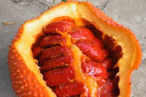 Bài thuốc mẹo chữa bệnh quai bị an toàn 