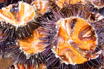 Đặc sản nổi tiếng ngon tuyệt của Phú Quốc